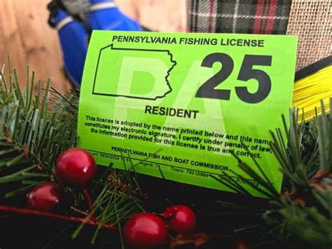 buy pa fishing license online.